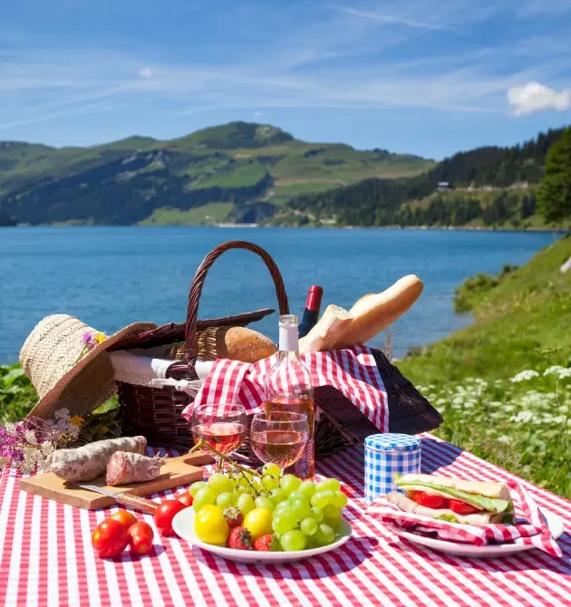 picnic2